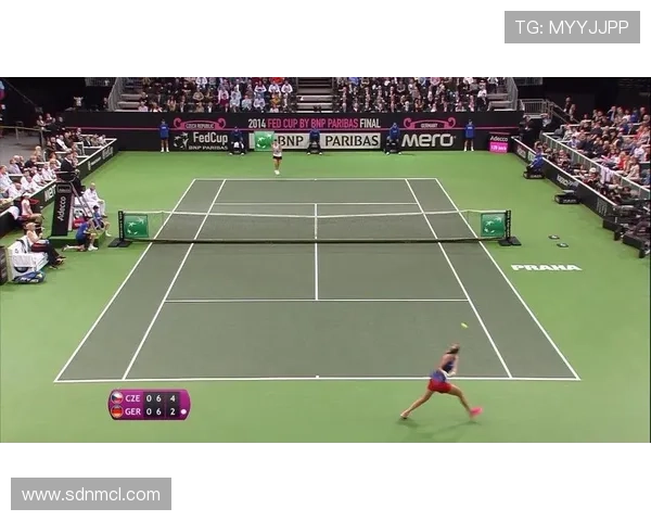 武汉网球队在联合会杯积分榜上以79分稳居第一名表现出色