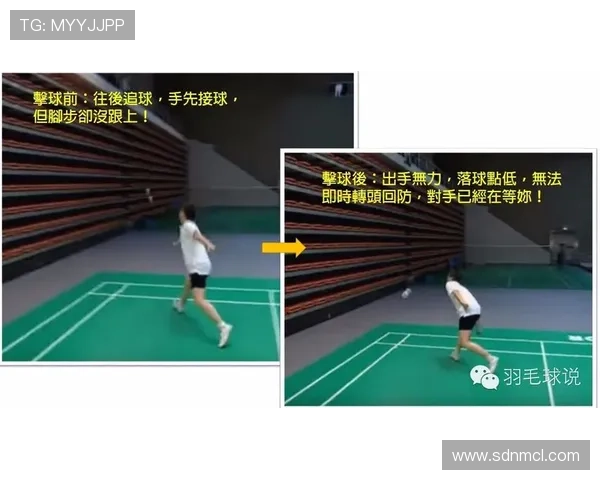 武汉羽毛球队区域防守策略深度解析与战术应用探讨