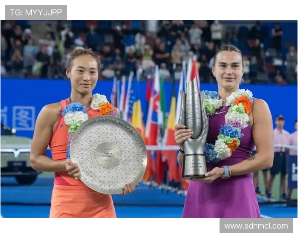 武汉网球队运营模式分析与发展前景探讨 武汉网球队运营模式分析与发展前景探讨