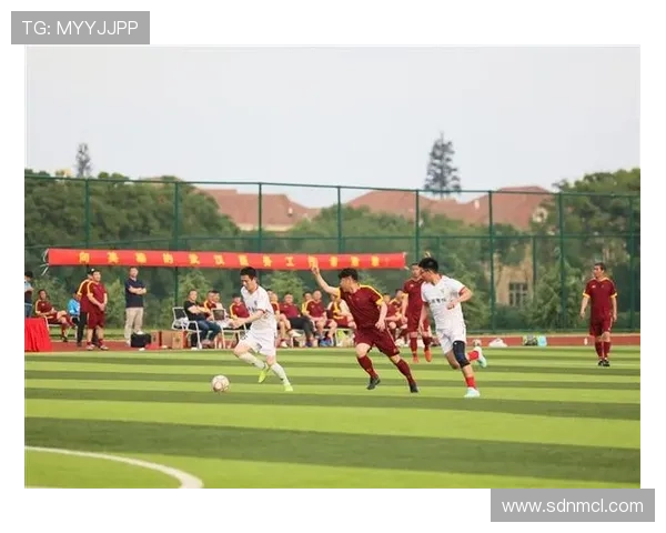 武汉羽毛球队灵活性排名创新高引发全国关注与热议 武汉羽毛球队灵活性排名创新高引发全国关注与热议