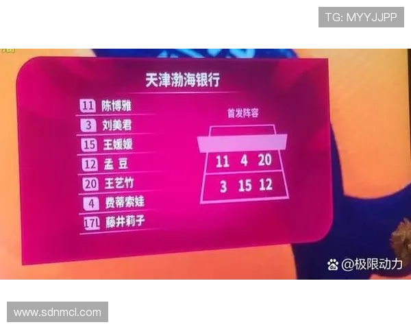 武汉排球队技术表现分析与联赛表现的深度解读 武汉排球队技术表现分析与联赛表现的深度解读