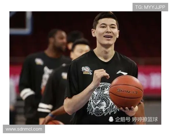 独家解析西安排球队速度对比及其战术影响分析 独家解析西安排球队速度对比及其战术影响分析