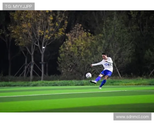 足球明星精彩射门瞬间全景展示与分析合集