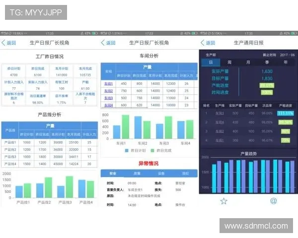 北京排球队转型之路的真实记录与发展探索