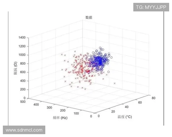 深入探讨上海排球队耐力表现的数据分析与训练策略研究 深入探讨上海排球队耐力表现的数据分析与训练策略研究