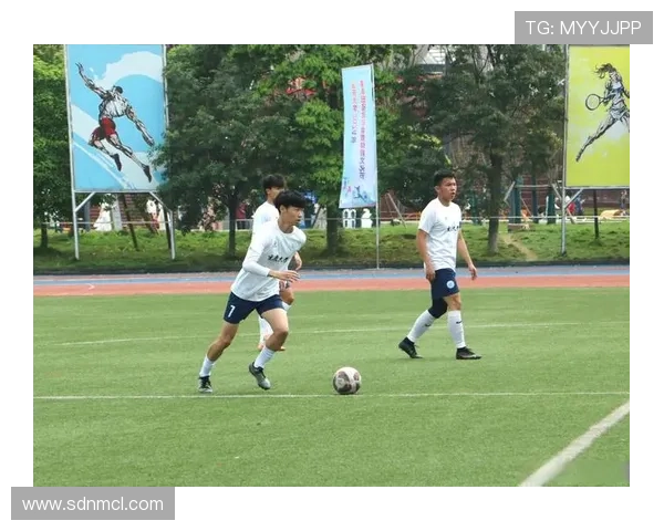 爱猫的足球明星如何在绿茵场上与爱宠共享快乐时光 爱猫的足球明星如何在绿茵场上与爱宠共享快乐时光